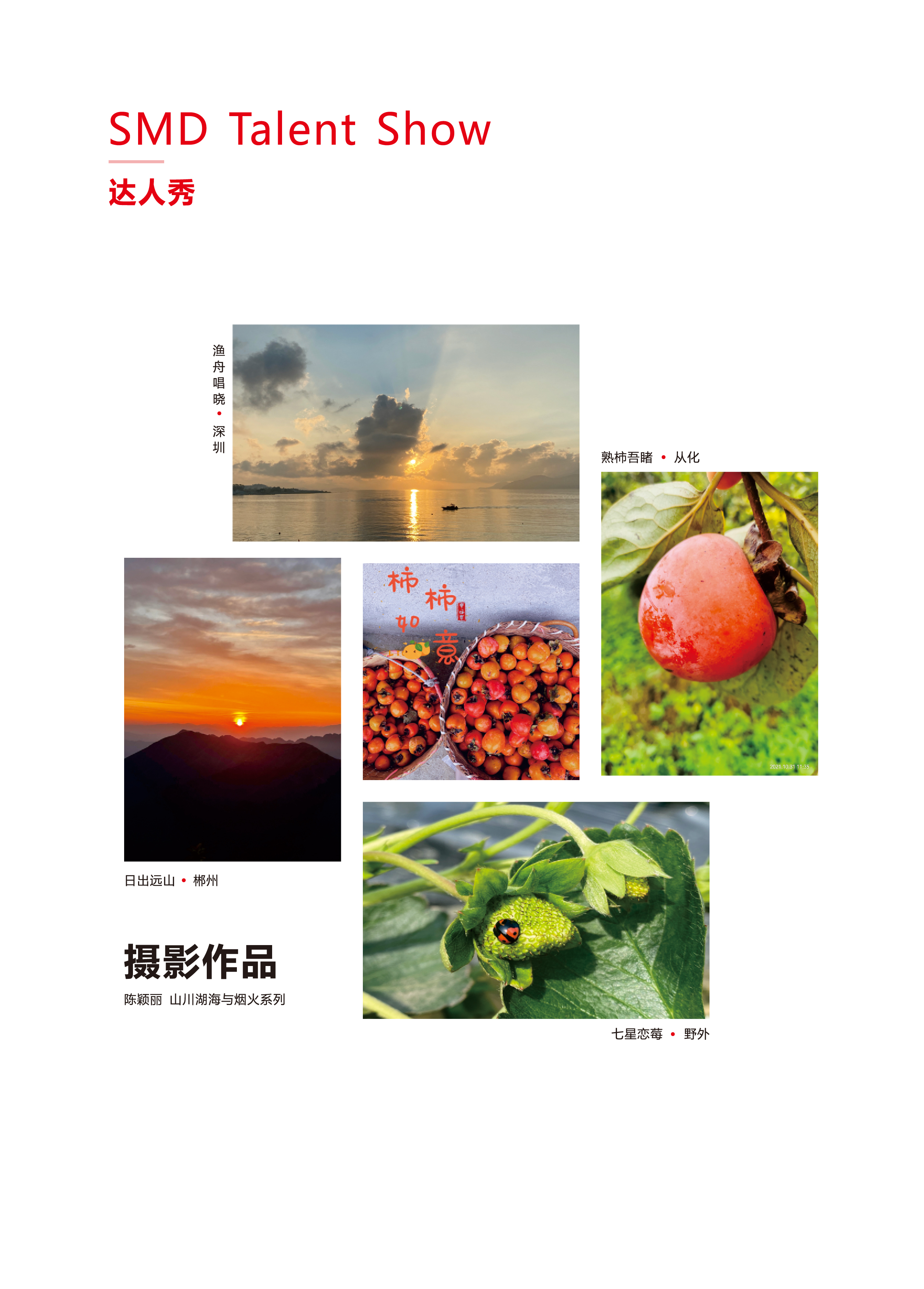 利来w66(中国区)最老的品牌官网入口